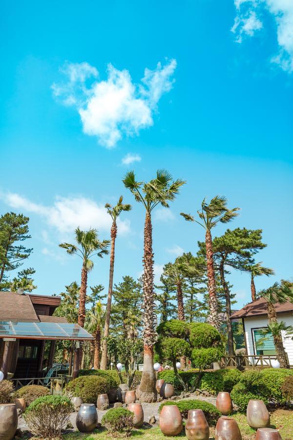 Bijarim Resort جيجو المظهر الخارجي الصورة